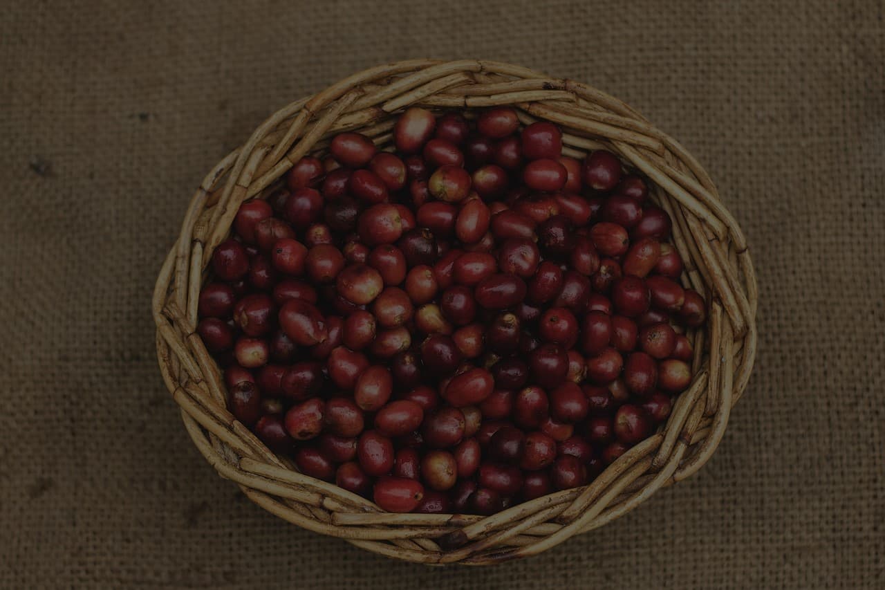 our coffee